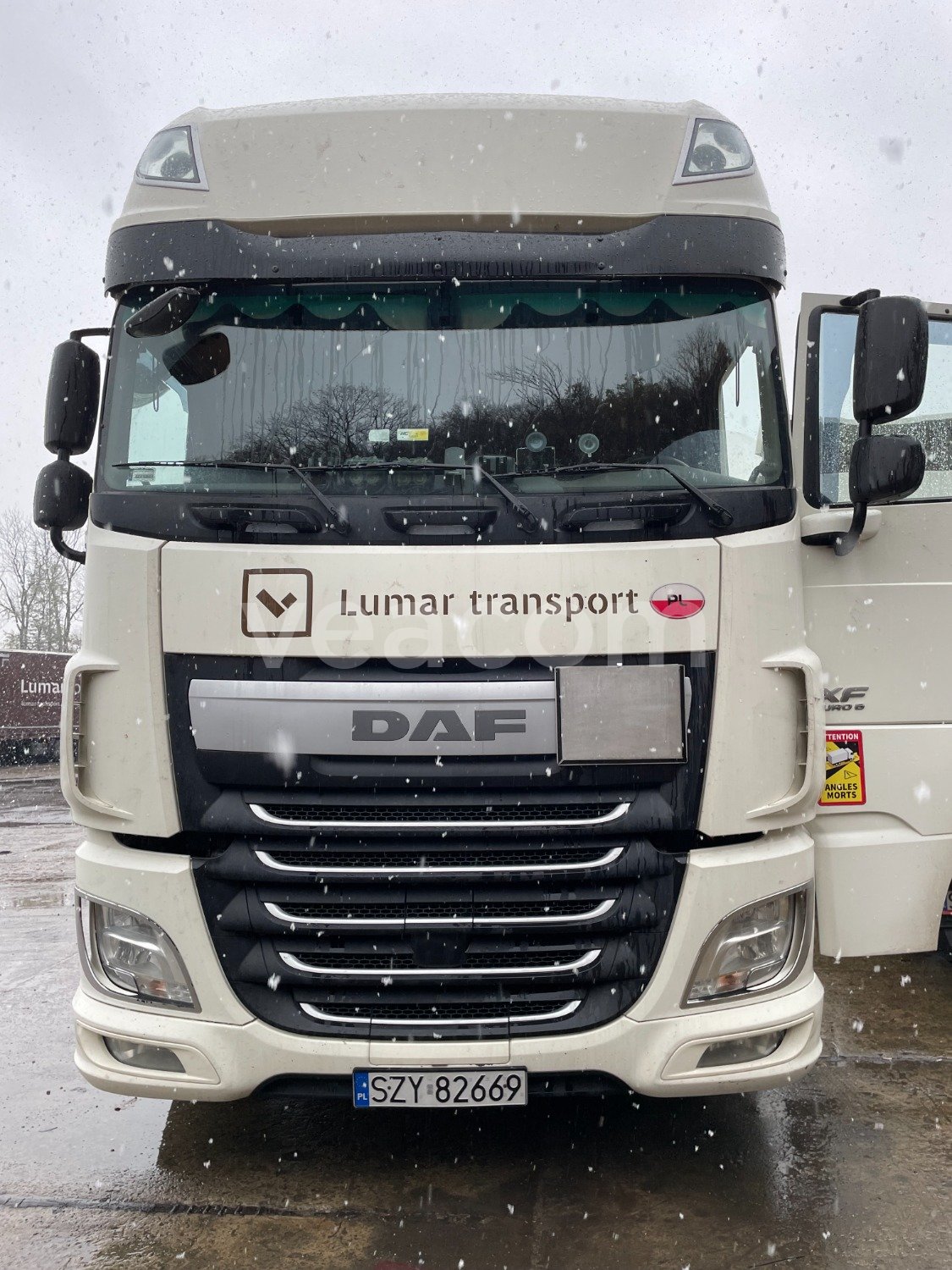 Online aukce: DAF  XF 460