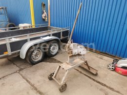 Online auction:   NŮŽKY NA PLECH