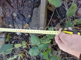 Online aukce:   PODKOPOVÁ LŽÍCE 60 CM NA CAT 313 - ZUBY