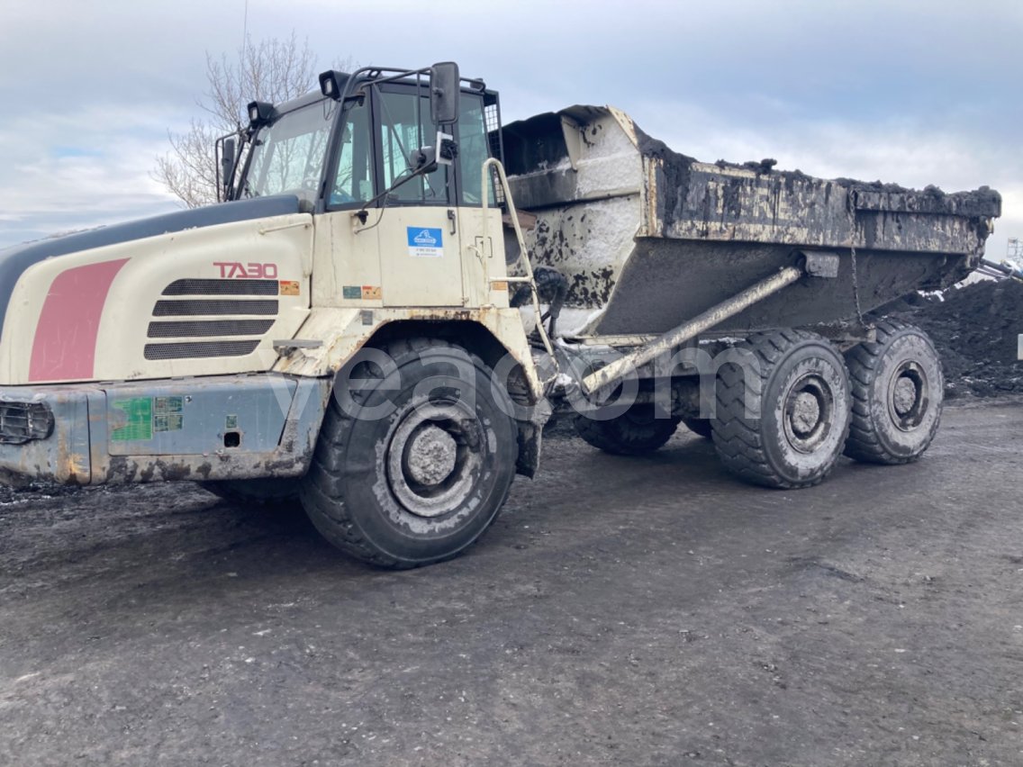 Online auction: TEREX  TA30