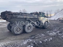 Online auction: TEREX  TA30