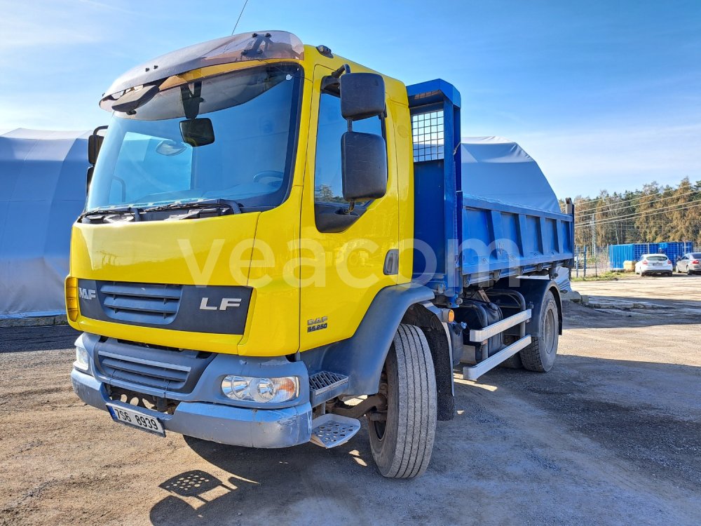 Online auction: DAF  TIPPER