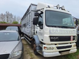 Online aukce: DAF  LF 55.220