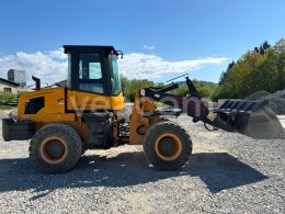 Online aukce: SCHMIDT  6050