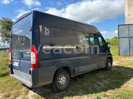 Online aukce: FIAT  DUCATO