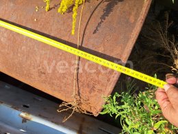 Aukcja internetowa:   SVAHOVÁ LŽÍCE 120 CM, NA DH 112