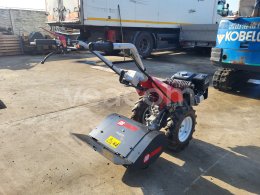 Online aukce:   BERTOLINY ALPIN 852