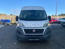 Online aukce: FIAT  DUCATO
