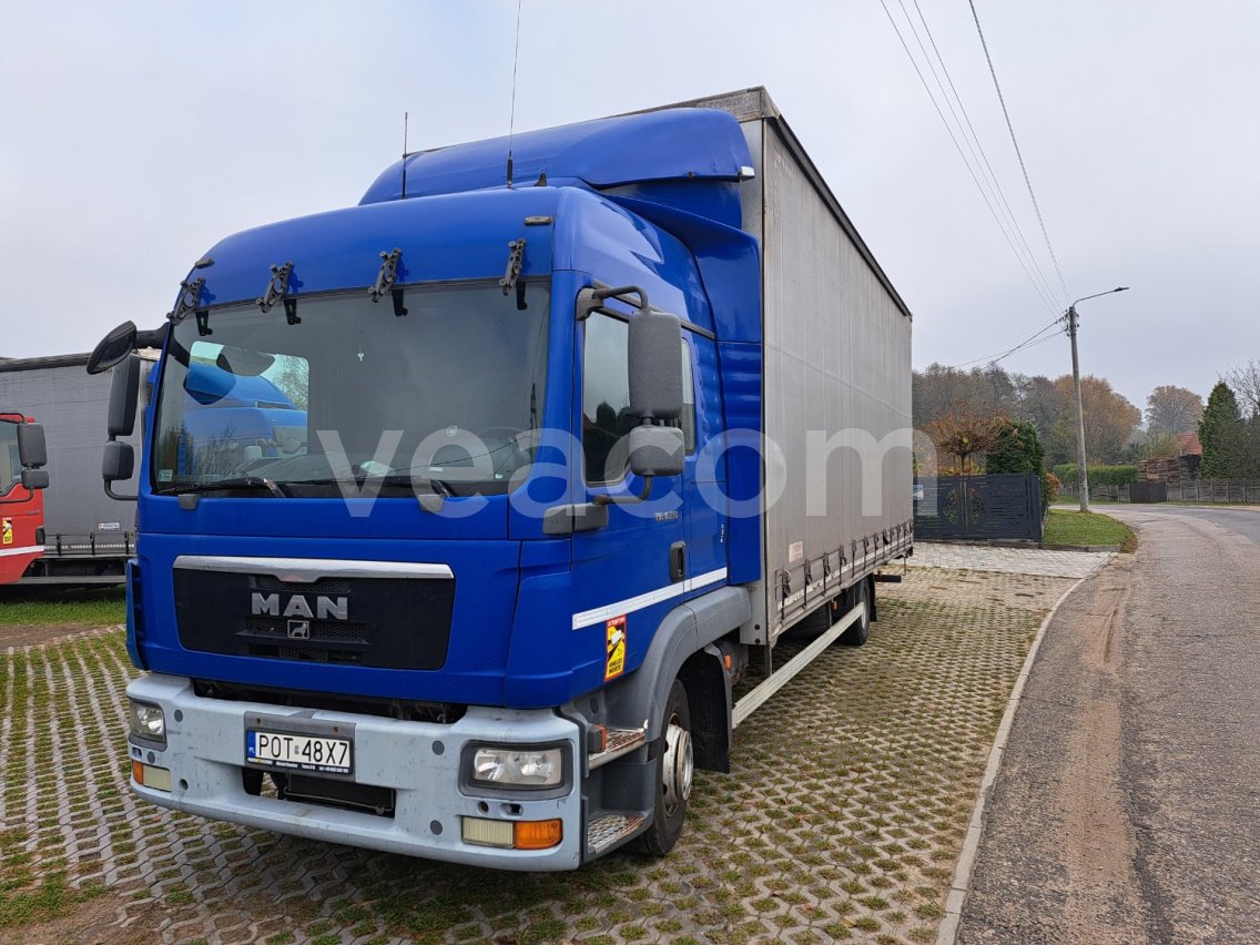 Aukcja internetowa: MAN  TGL 8.250