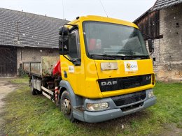 Online aukce: DAF  LF 45.170 + HR