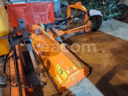 Online-Versteigerung: TIERRE  MINI S 160