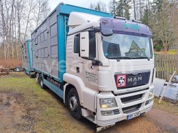 Online aukce: MAN  TGS 26.440 6X2-2 LL + PEZZAOOLI RBA 31F