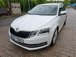 Online-Versteigerung: ŠKODA  OCTAVIA 4X4