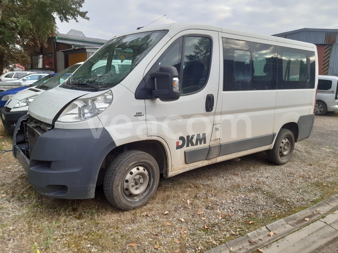 Online aukce: FIAT  DUCATO 250