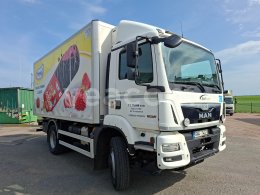 Online aukce: MAN  TGM 13.250 4X4 S CHLADÍRENSKOU NÁSTAVBOU