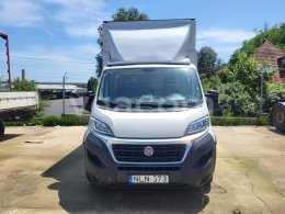 Online auction: FIAT  DUCATO