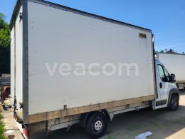 Online auction: FIAT  DUCATO