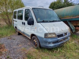 Online auction: FIAT  DUCATO 11 2.0 JTD