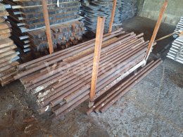 Online auction:   LEŠENÍ
