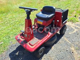Online auction:  MTD PINTO E START