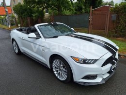 Online aukce: FORD  MUSTANG