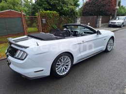 Online aukce: FORD  MUSTANG