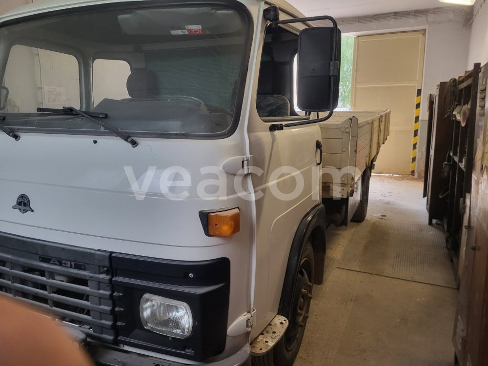 Online auction: AVIA  A31.1L