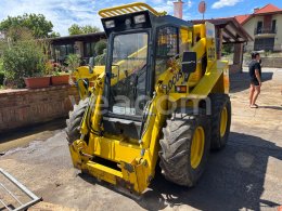 Online auction: WAY  LOCUST L1203 SPEED +