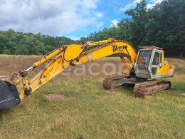 Online auction: JCB  JS 200 LC