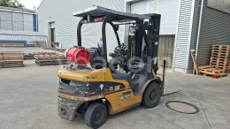 Online-Versteigerung: CAT  GP 25N