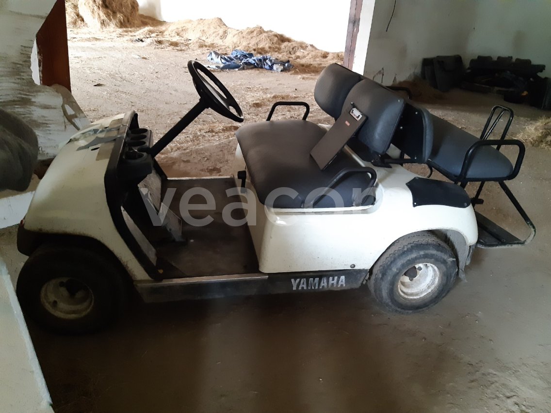 Online aukce:   Golfový vozík