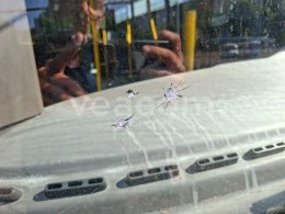 Online auction: IRISBUS  CITELIS