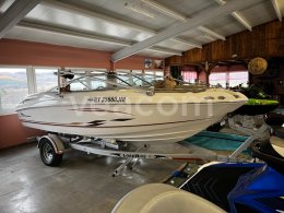 Online aukce:   CHAPARRAL 204 SSI