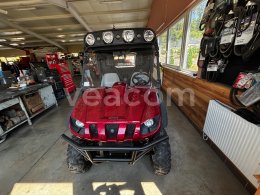 Online aukce: YAMAHA  RHINO