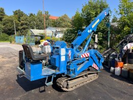 Online aukce: TADANO  TOA TC-304