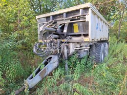 Online-Versteigerung: FLIEGL  ASW 248