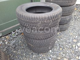 Online aukce:   4KS BESTDRIVE WINTER 195/65 R15 95H XL
