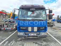Online aukce: DAF  