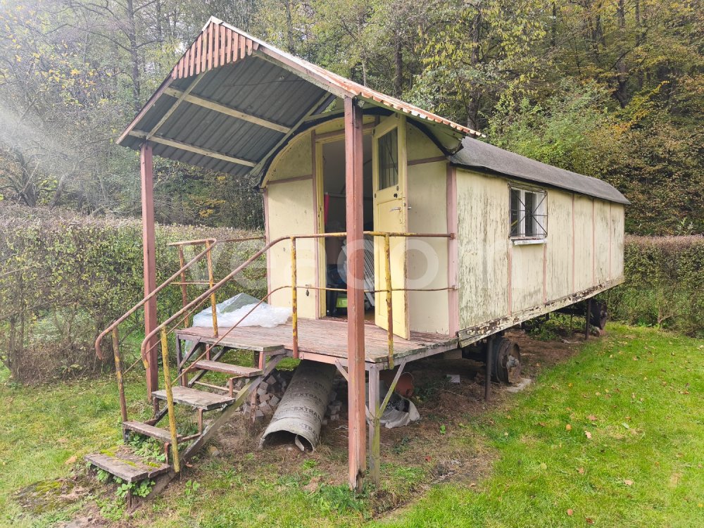 Online aukce:  MARINGOTKA