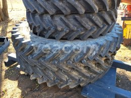 Online aukce:   SADA 4KS ÚZKYCH KOL DO SADOV