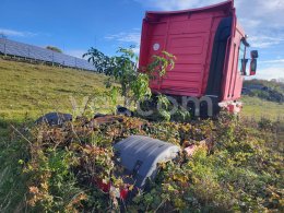 Online auction: RENAULT  MAGNUM 500 DXI