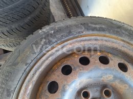 Online aukce:   SADA KOL PLECH