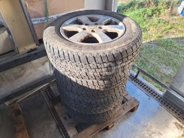 Online aukce:  SADA KOL