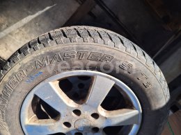 Online aukce:   SADA KOL