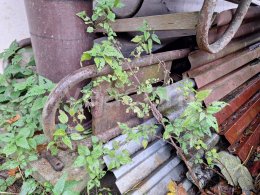 Online árverés:   PÁSOVÝ DOPRAVNÍK 7 METRŮ