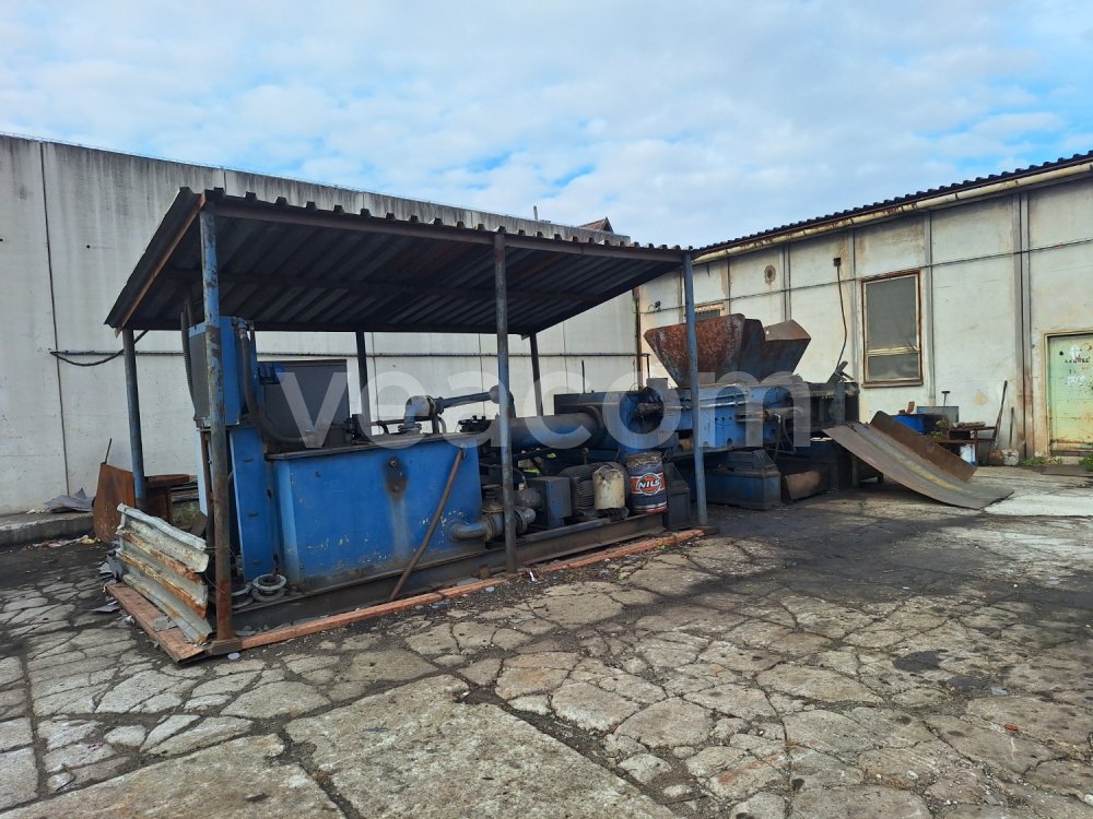 Online auction:  LIS NA KOV