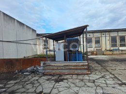 Online aukce:   LIS NA KOV