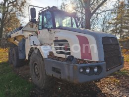 Online auction: TEREX  TA25