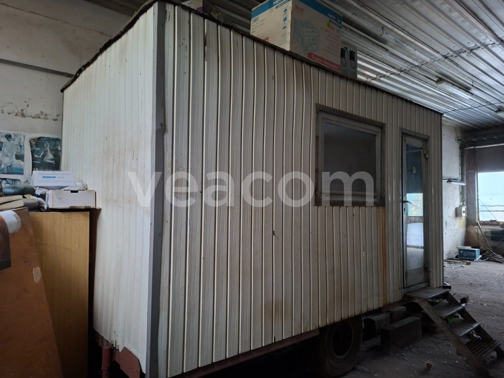 Online auction:  MARINGOTKA