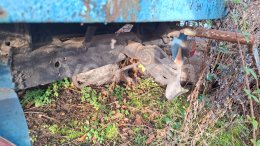 Online aukce:   VLEK ZA TRAKTOR